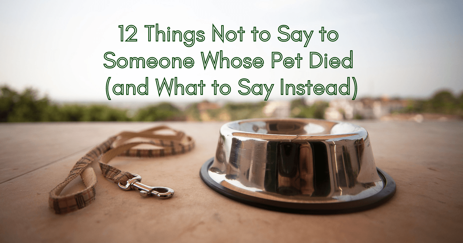 12 Things Not to Say to Someone Whose Pet Died (and What to Say Instead)