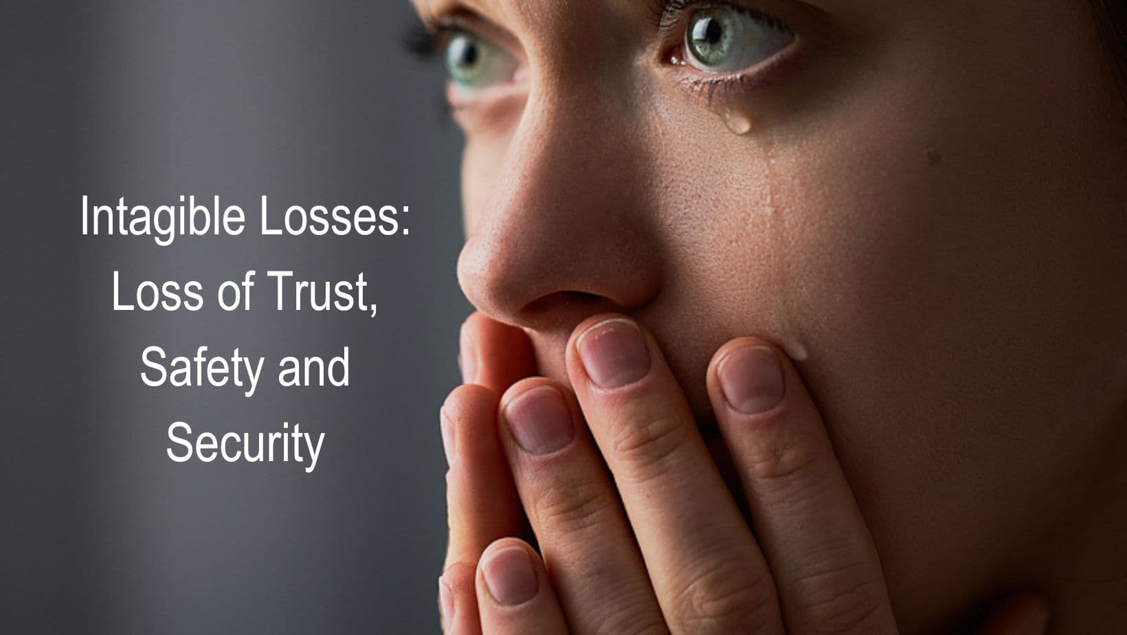 Intagible Losses: Loss of Trust, Safety and Security
