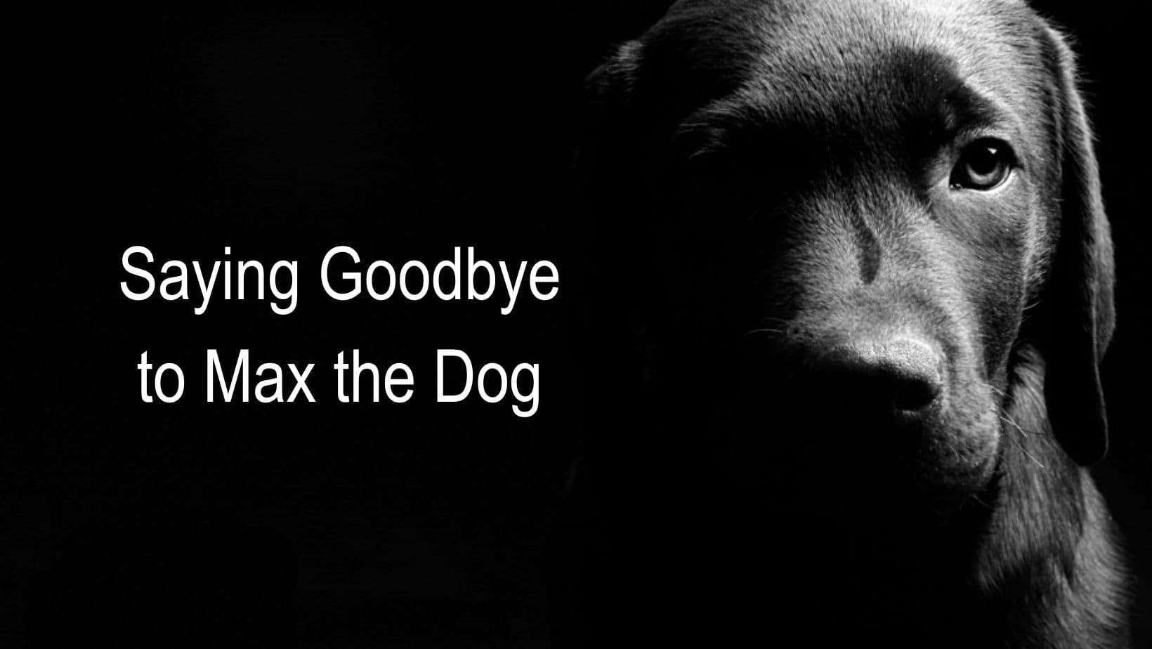 Saying Goodbye to Max the Dog
