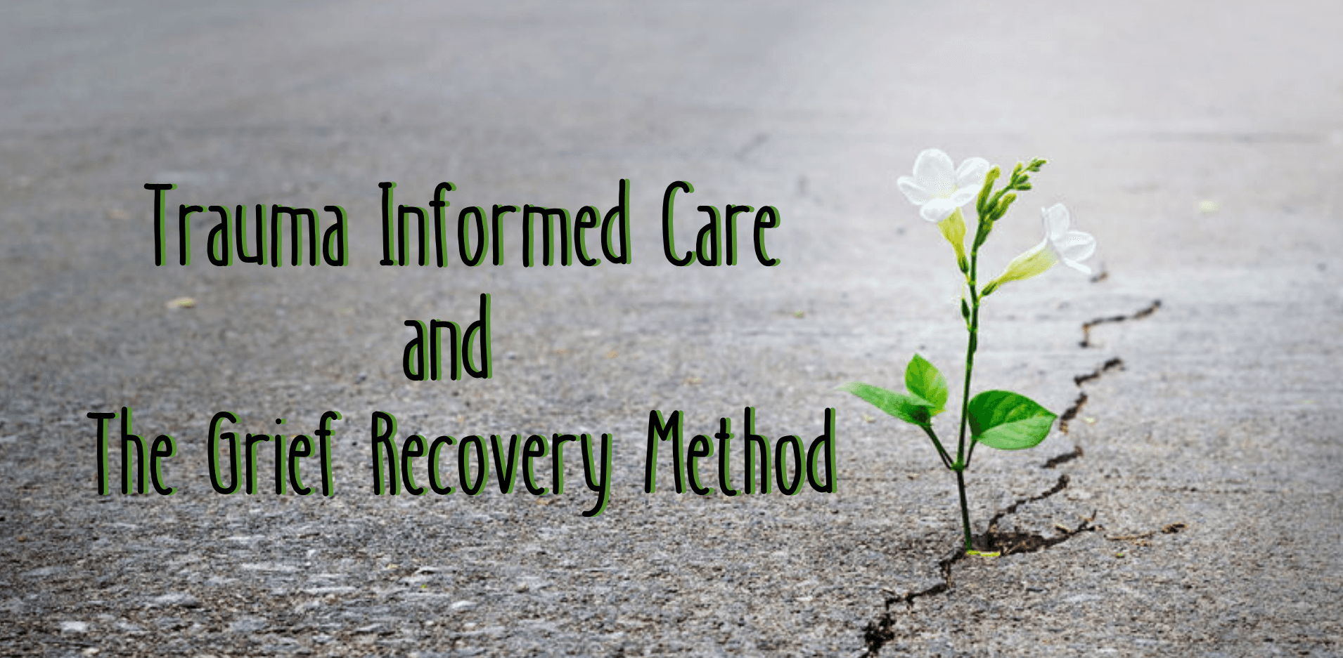 Trauma Informed Care and the Grief Recovery Method