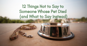 12 things not to say to someone whose pet died and what to say