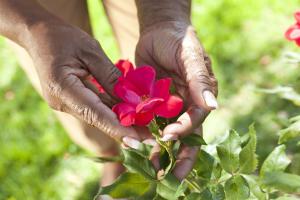 grief recovery ongoing process loss garden