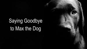 Dog died pet loss death hope grief answers pain recovery 