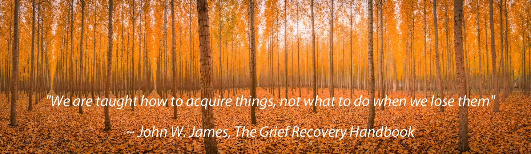 We are taught to acquire things not what to do when we lose them grief loss