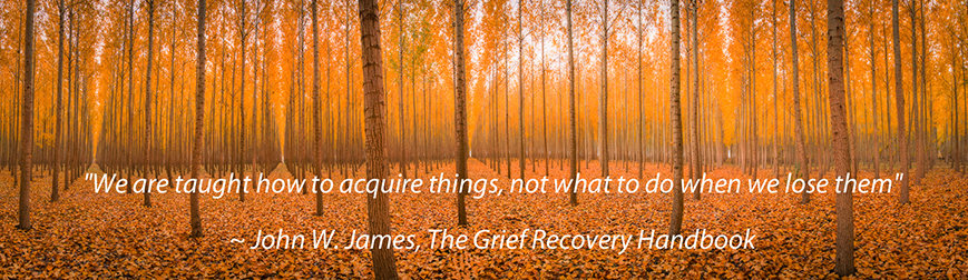 taught to acquire loss grief recovery method what to do when we lose
